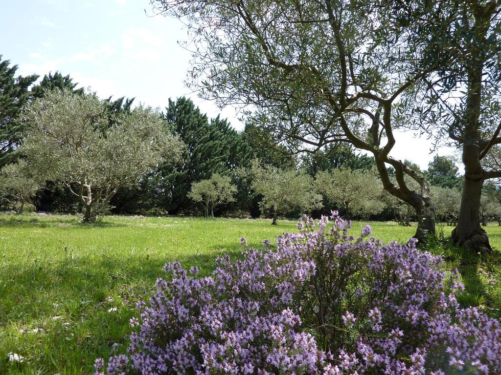 Bed and Breakfast Les Mazets Du Luberon Puget Экстерьер фото